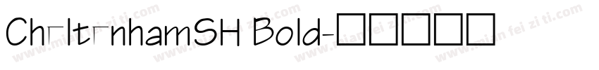 CheltenhamSH Bold字体转换